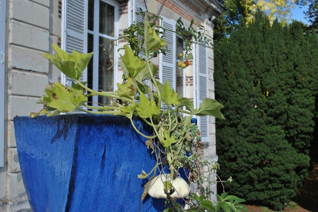 Eco-Gite - Domaine De La Gavolerie Bessé-sur-Braye Exterior foto